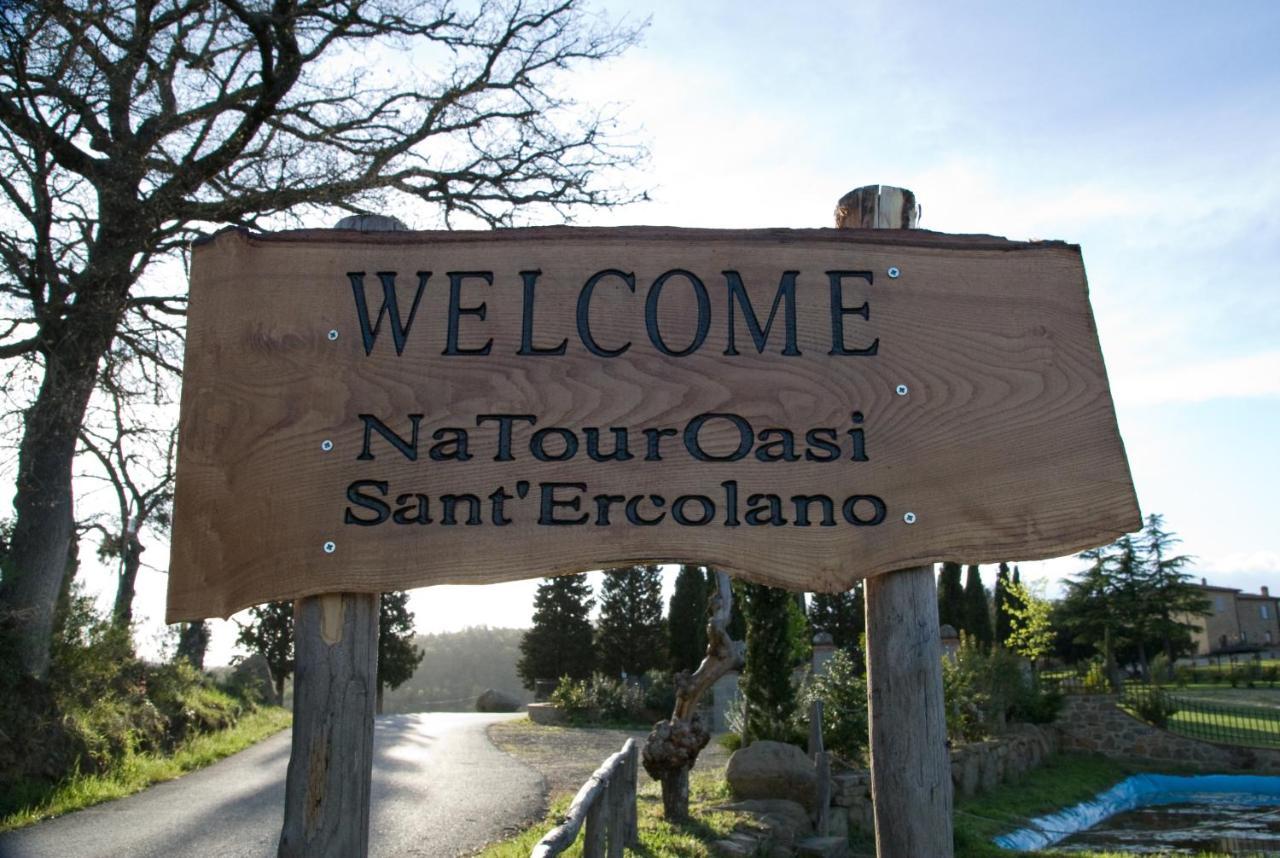 Natouroasi Agriturismo Guest House Monte San Savino Exterior foto